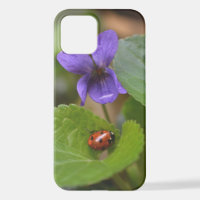 Ladybug on Sweet Violet Flowers