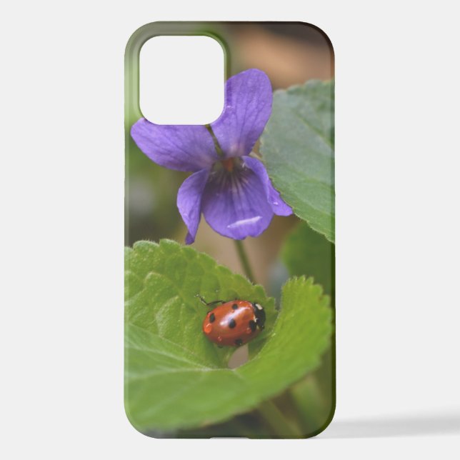 Ladybug on Sweet Violet Flowers iPhone Case (Back)