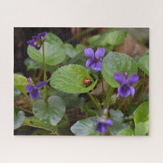 Ladybug on Sweet Violet Flowers Jigsaw Puzzle (Horizontal)