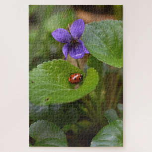 Ladybug on Sweet Violet Flowers Jigsaw Puzzle