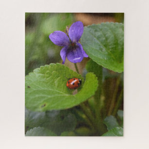 Ladybug on Sweet Violet Flowers Jigsaw Puzzle