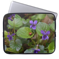 Ladybug on Sweet Violet Flowers