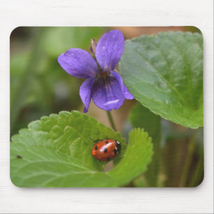 Ladybug on Sweet Violet Flowers Mouse Pad