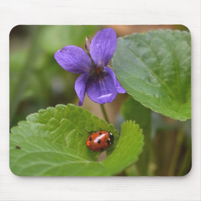Ladybug on Sweet Violet Flowers Mouse Pad (Front)