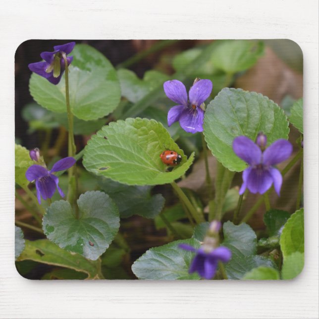 Ladybug on Sweet Violet Flowers Mouse Pad (Front)