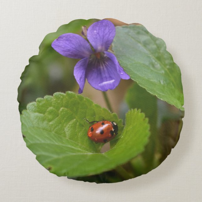 Ladybug on Sweet Violet Flowers Round Cushion (Front)
