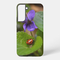 Ladybug on Sweet Violet Flowers
