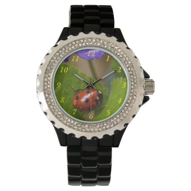 Ladybug on Sweet Violet Flowers Watch (Front)