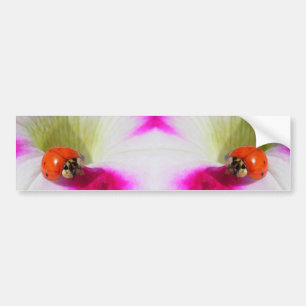 Ladybug on the petunia Bumper Sticker