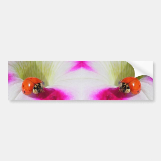 Ladybug on the petunia Bumper Sticker (Front)