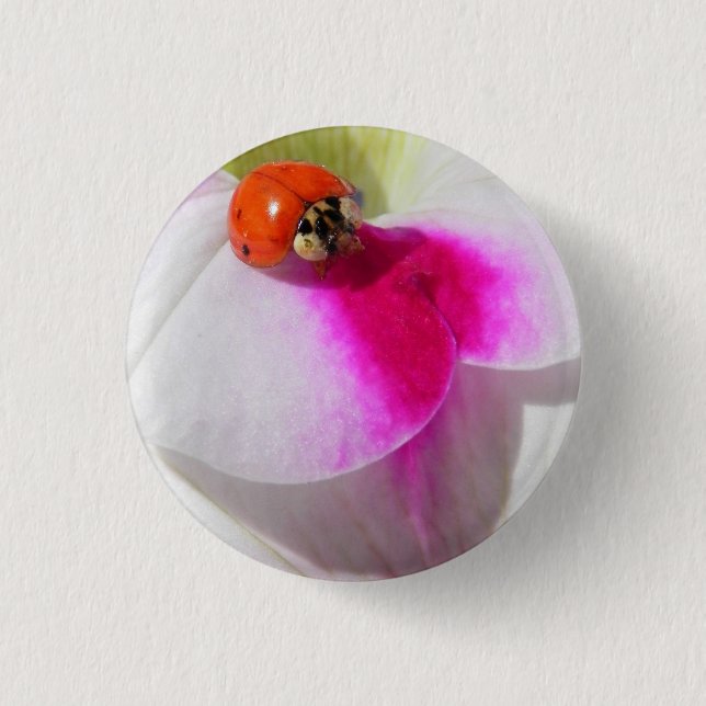 Ladybug on the petunia Button (Front)