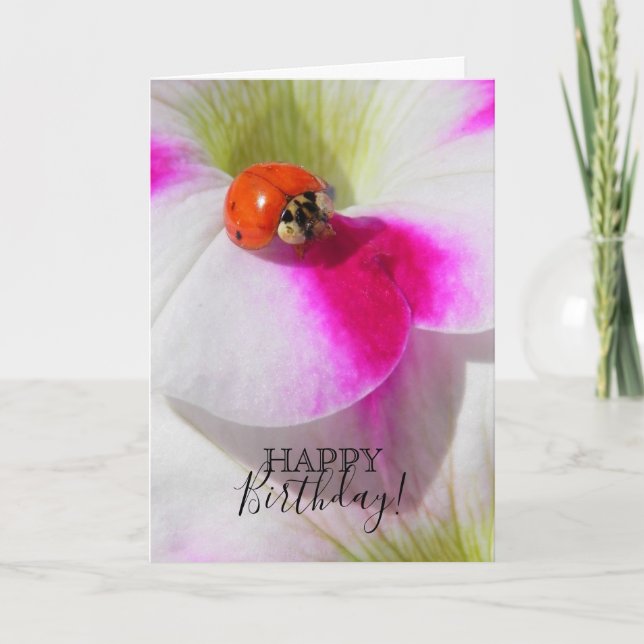 Ladybug on the petunia card (Front)