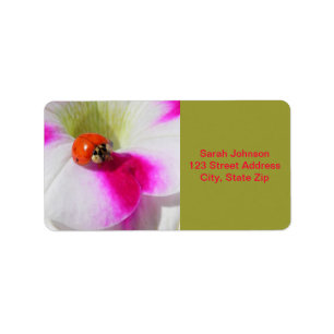 Ladybug on the petunia Labels