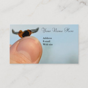 Ladybug on thumb business card