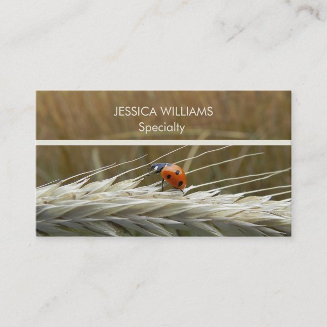 Ladybug on wheat business card (Front)
