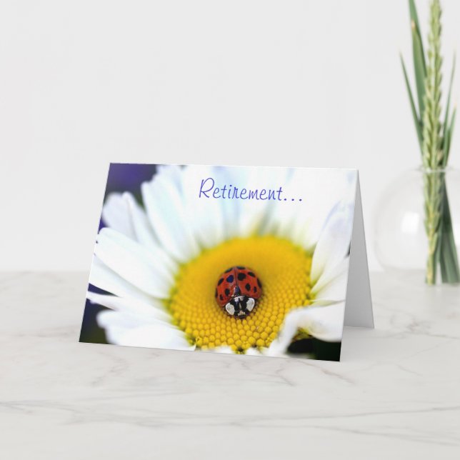 Ladybug on White Daisy Card (Front)