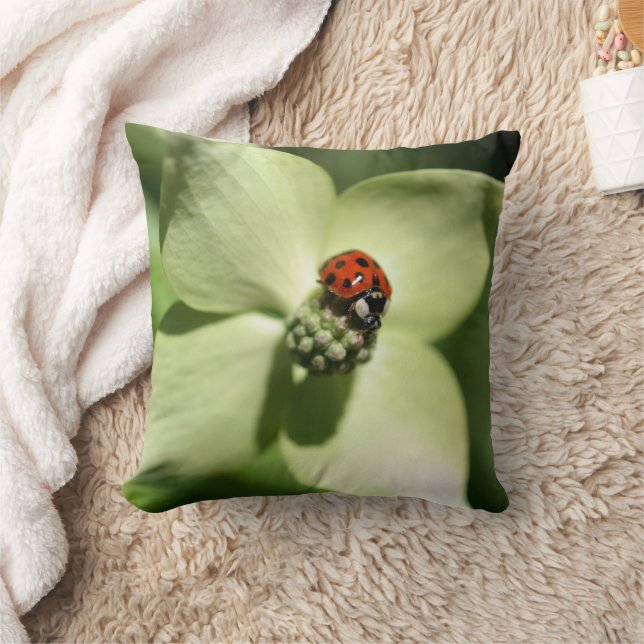 Ladybug On White Dogwood Flower  Cushion (Blanket)