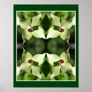 Ladybug On White Dogwood Flower Nature Abstract Poster