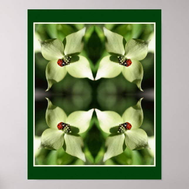 Ladybug On White Dogwood Flower Nature Abstract  Poster (Front)