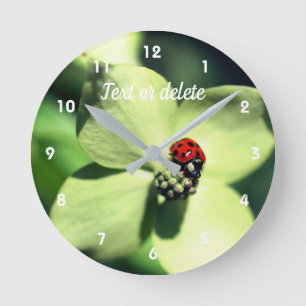 Ladybug On White Dogwood Flower Personalised Round Clock