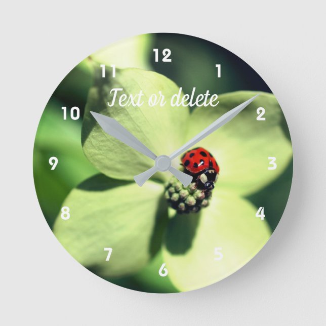 Ladybug On White Dogwood Flower Personalized Round Clock (Front)