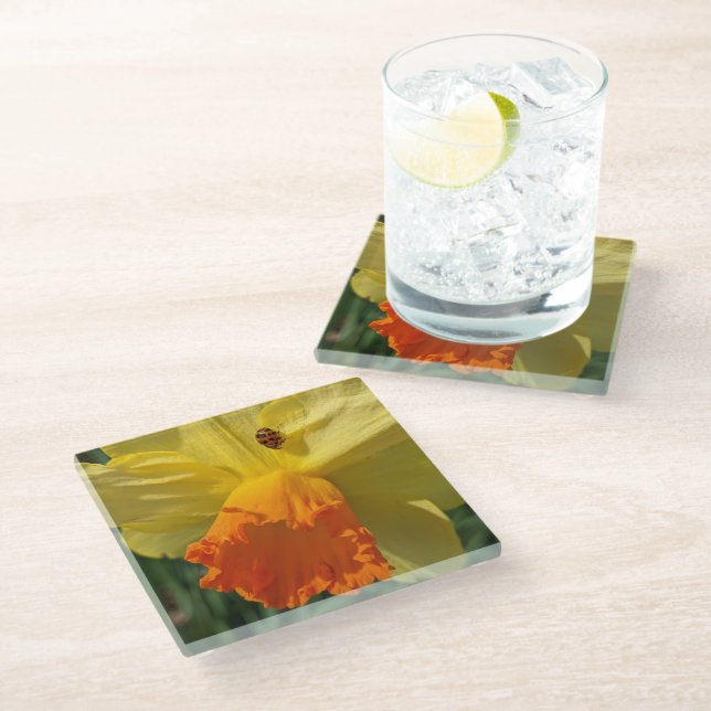 Ladybug on Yellow Daffodil Floral Glass Coaster (Angled)