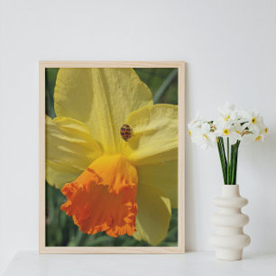 Ladybug on Yellow Daffodil Floral Photo Print