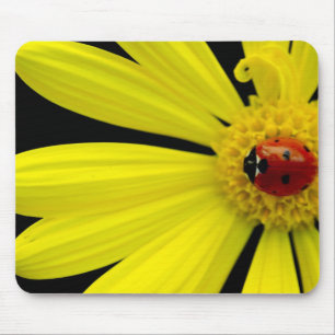 Ladybug on yellow daisy mouse pad