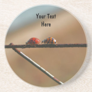 Ladybug Pair Cute Nature Drink Coaster