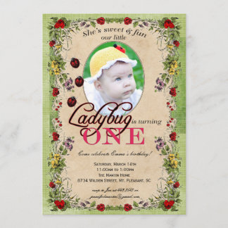 Ladybug Party Invitation - Photo, One Year Old