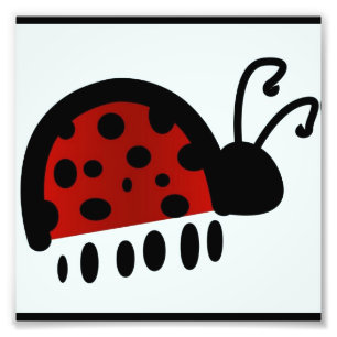 Ladybug Photo Print