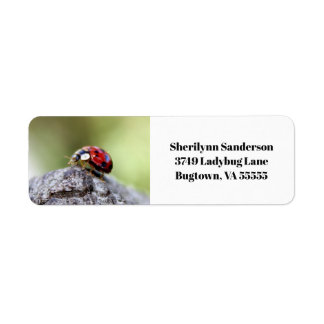 Ladybug Photo Return Address Label