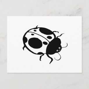 Ladybug - postcard