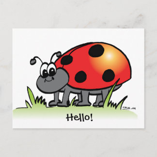 Ladybug Postcard