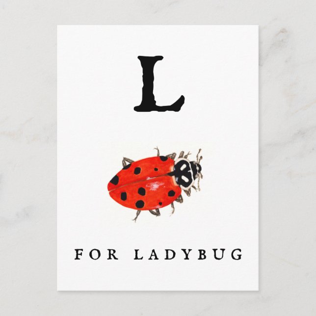 Ladybug  postcard (Front)