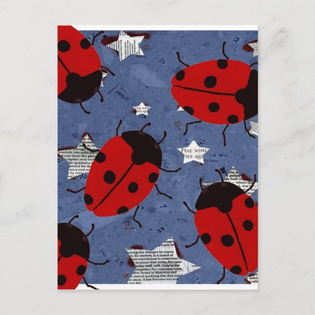 LADYBUG POSTCARD (Front)