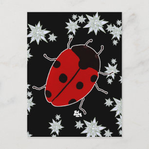 LADYBUG POSTCARD