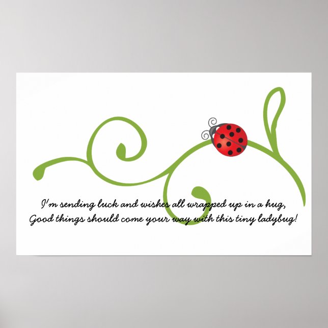 Ladybug Poster (Front)