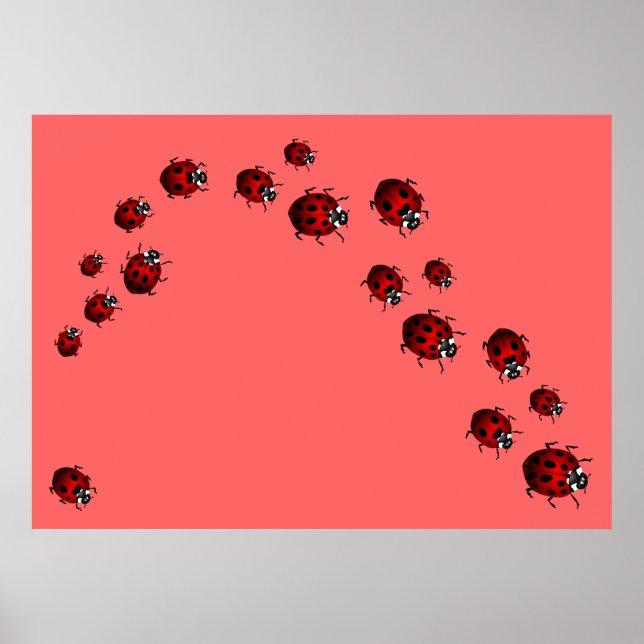 Ladybug Print Ladybird Art Large Small Poster (Front)