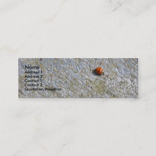 Ladybug Profile Card