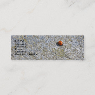Ladybug Profile Card