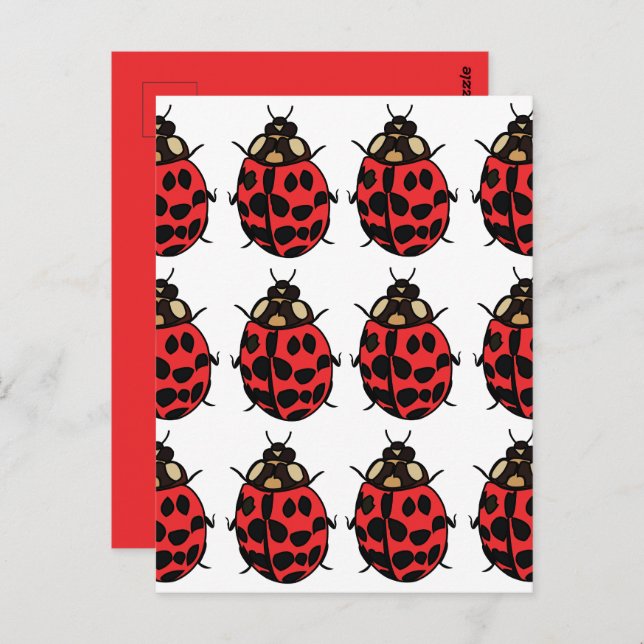 Ladybug Red Black Insect Ladybug Postcard (Front/Back)