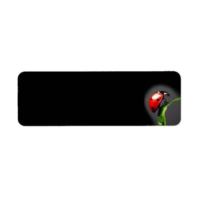 Ladybug Return Address Label (Front)