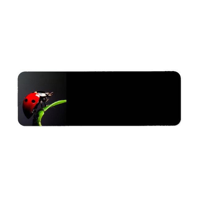 Ladybug Return Address Label (Front)