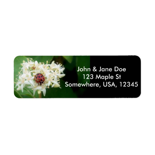 LadyBug Return Address Label (Front)