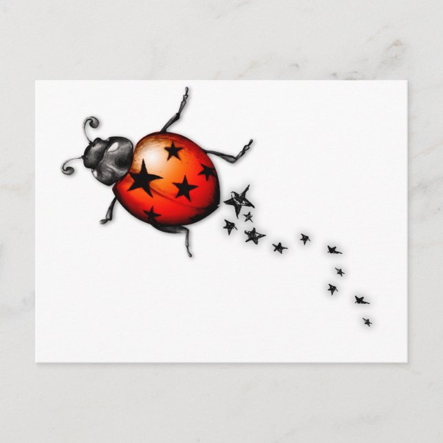 Ladybug Rockstar Postcard (Front)