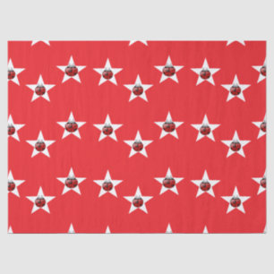Ladybug stars tissue paper