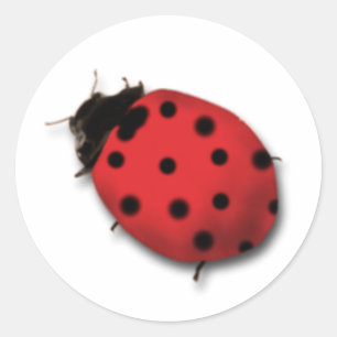 Ladybug Stickers