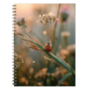 Ladybug Sunrise Meadow Notebook