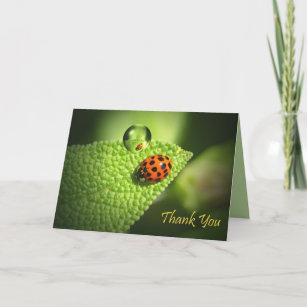 Ladybug Thank You card